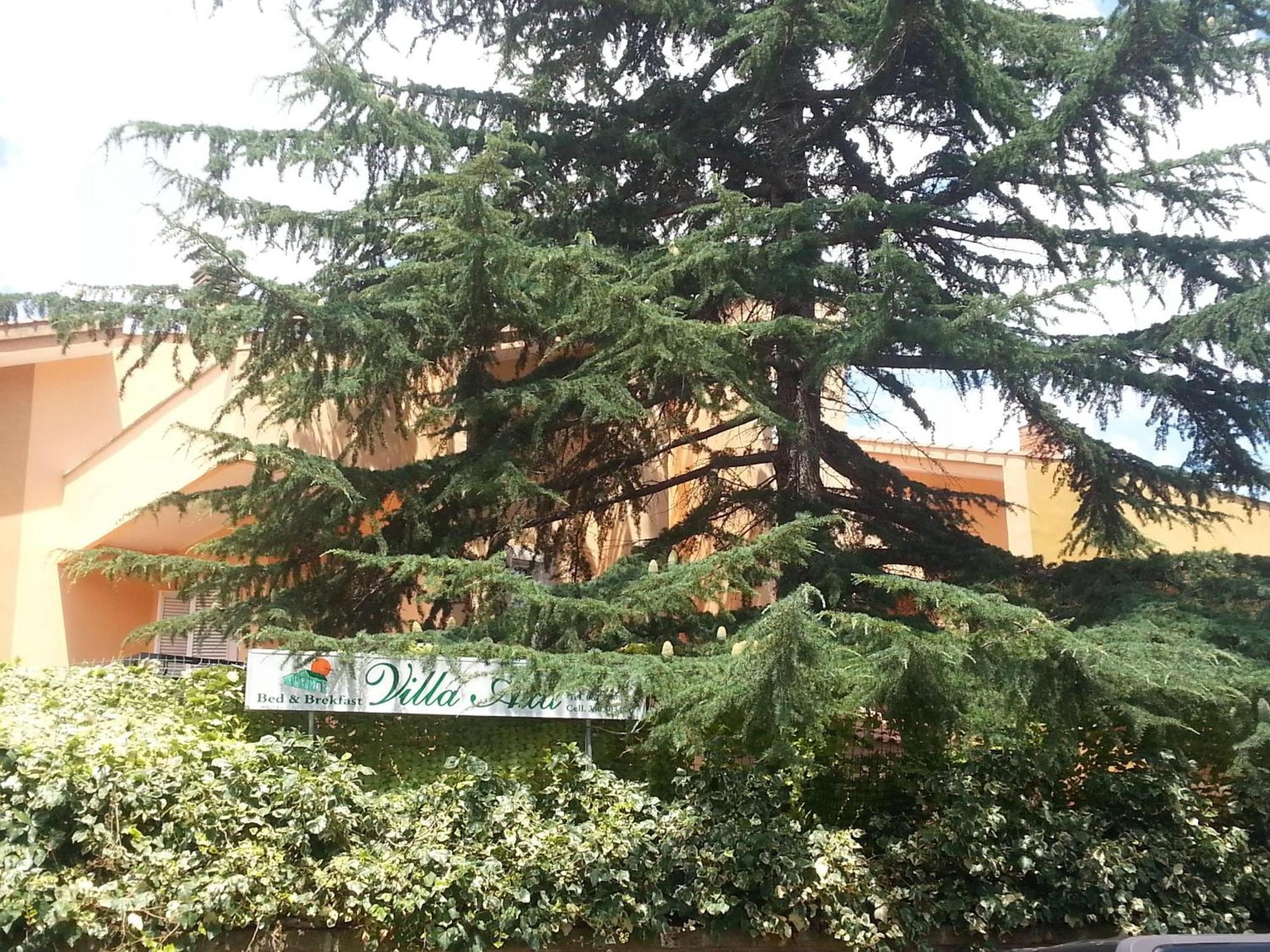 Villa Axa Casal Palocco Quarto foto